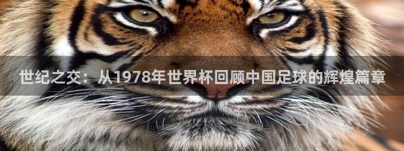 世界杯预选赛亚洲区积分榜：世纪之交：从1978年世界杯回顾中国足球的辉煌篇章