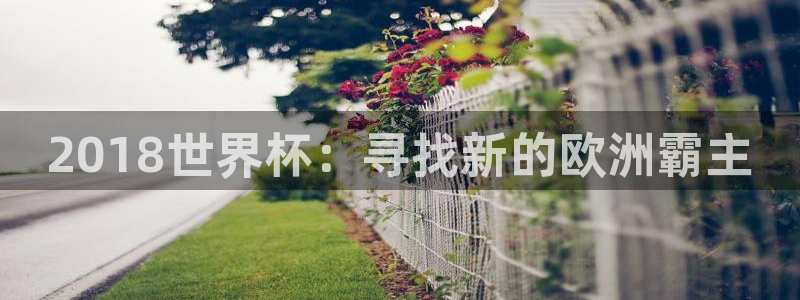 世界杯预选赛亚洲区赛程：2018世界杯：寻找新的欧洲霸主