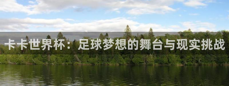 2026世界杯德国队阵容：卡卡世界杯：足球梦想的舞台与现实挑战