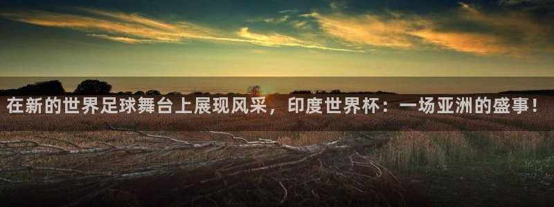世界杯预选赛亚洲区积分榜：在新的世界足球舞台上展现风采，印度世界杯：一场亚洲的盛事！