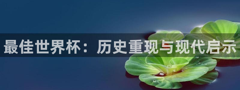 足球世界杯：最佳世界杯：历史重现与现代启示