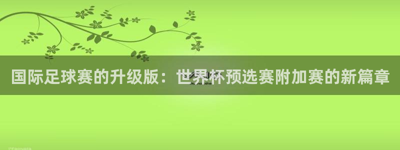 世界杯足球直播：国际足球赛的升级版：世界杯预选赛附加赛的新篇章