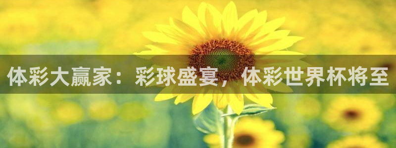 2026男足世界杯赛程：体彩大赢家：彩球盛宴，体彩世界杯将至
