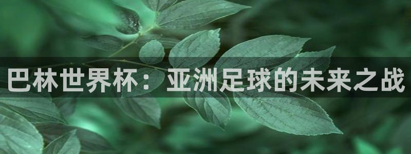世界杯欧洲区赛程：巴林世界杯：亚洲足球的未来之战