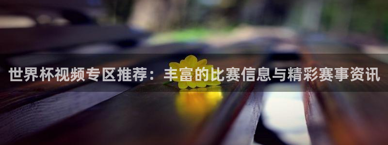 世界杯预选赛赛程时间表：世界杯视频专区推荐：丰富的比赛信息与精彩赛事资讯