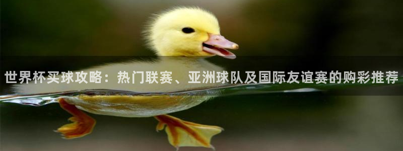 世界杯预选赛欧洲赛区赛程：世界杯买球攻略：热门联赛、亚洲球队及国际友谊赛的购彩推荐