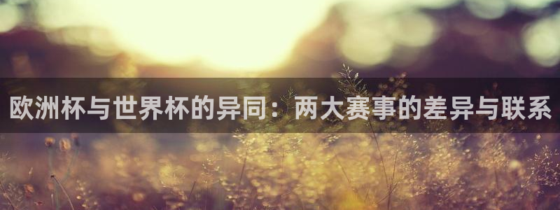 世界杯球队：欧洲杯与世界杯的异同：两大赛事的差异与联系