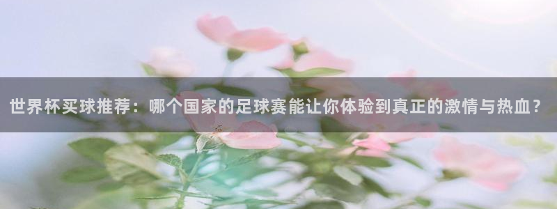 世界杯预选赛欧洲赛区赛程：世界杯买球推荐：哪个国家的足球赛能让你体验到真正的激情与热血？
