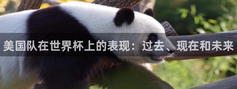 免费足球比赛直播高清：美国队在世界杯上的表现：过去、现在和未来