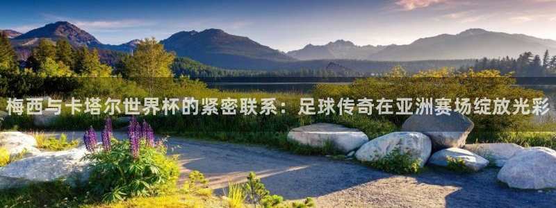世界杯球队排名：梅西与卡塔尔世界杯的紧密联系：足球传奇在亚洲赛场绽放光彩