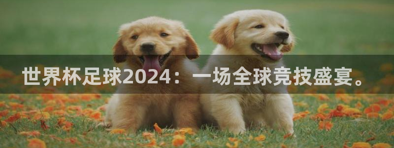 世界杯亚洲区预选赛积分榜：世界杯足球2024：一场全球竞技盛宴。