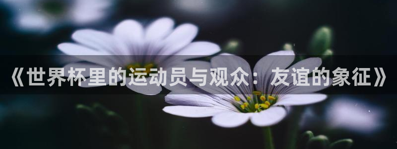 2026世界杯直播免费观看：《世界杯里的运动员与观众：友谊的象征》