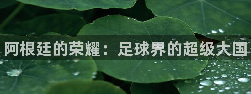 世界杯亚洲预选赛18强赛程：阿根廷的荣耀：足球界的超级大国