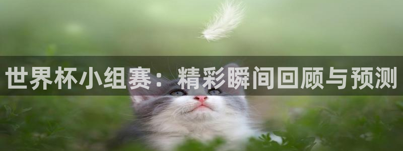 世界杯球队排名：世界杯小组赛：精彩瞬间回顾与预测