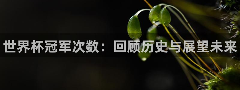 2026男足世界杯赛程：世界杯冠军次数：回顾历史与展望未来