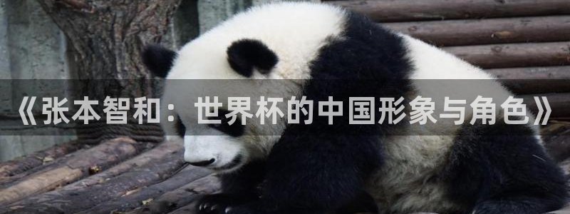 2026世界杯南美区积分榜：《张本智和：世界杯的中国形象与角色》