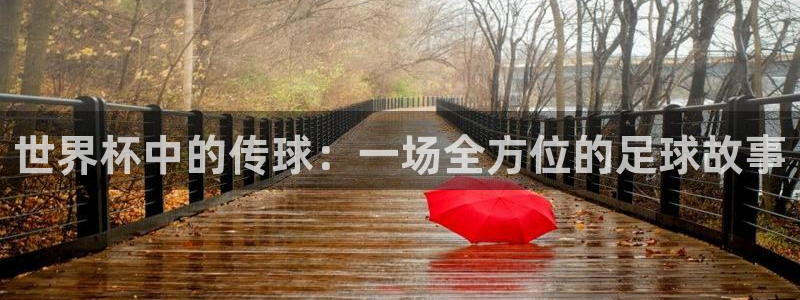 世界杯在线直播：世界杯中的传球：一场全方位的足球故事